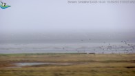 Archiv Foto Webcam Midlum - Andelhof 09:00