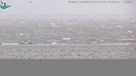 Archiv Foto Webcam Midlum - Andelhof 13:00