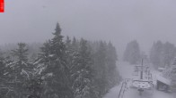 Archived image Webcam View from the top of the Špičák. 05:00