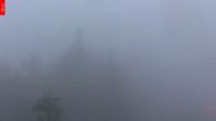 Archived image Webcam View from the top of the Špičák. 05:00