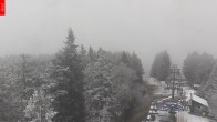 Archived image Webcam View from the top of the Špičák. 11:00