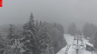 Archiv Foto Webcam Aussichtsturm Špičák 11:00