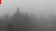Archived image Webcam View from the top of the Špičák. 11:00