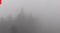 Archiv Foto Webcam Aussichtsturm Špičák 15:00