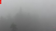 Archiv Foto Webcam Aussichtsturm Špičák 06:00