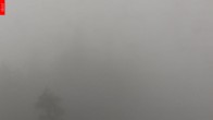 Archiv Foto Webcam Aussichtsturm Špičák 07:00