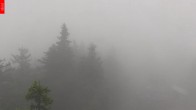Archiv Foto Webcam Aussichtsturm Špičák 09:00