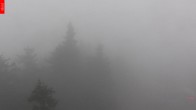 Archiv Foto Webcam Aussichtsturm Špičák 07:00