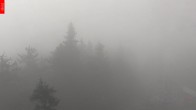 Archiv Foto Webcam Aussichtsturm Špičák 07:00