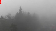 Archiv Foto Webcam Aussichtsturm Špičák 15:00
