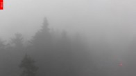 Archiv Foto Webcam Aussichtsturm Špičák 06:00
