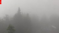 Archiv Foto Webcam Aussichtsturm Špičák 09:00