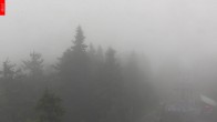 Archiv Foto Webcam Aussichtsturm Špičák 15:00