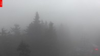Archiv Foto Webcam Aussichtsturm Špičák 19:00