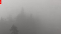 Archiv Foto Webcam Aussichtsturm Špičák 07:00