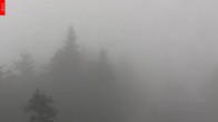 Archiv Foto Webcam Aussichtsturm Špičák 07:00