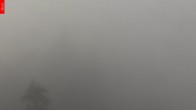 Archiv Foto Webcam Aussichtsturm Špičák 05:00