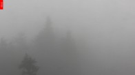 Archiv Foto Webcam Aussichtsturm Špičák 09:00