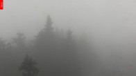 Archiv Foto Webcam Aussichtsturm Špičák 11:00
