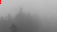 Archiv Foto Webcam Aussichtsturm Špičák 11:00