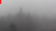 Archiv Foto Webcam Aussichtsturm Špičák 13:00