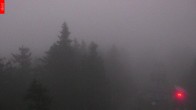 Archived image Webcam View from the top of the Špičák. 05:00