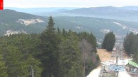 Archiv Foto Webcam Aussichtsturm Špičák 11:00