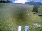 Archiv Foto Webcam am Winkellift Muggenbrunn 11:00