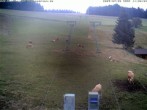 Archiv Foto Webcam am Winkellift Muggenbrunn 09:00