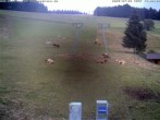 Archiv Foto Webcam am Winkellift Muggenbrunn 11:00
