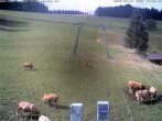 Archived image Webcam at Winkellift Muggenbrunn 15:00
