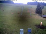 Archiv Foto Webcam am Winkellift Muggenbrunn 17:00