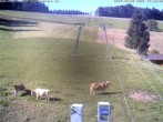 Archiv Foto Webcam am Winkellift Muggenbrunn 15:00
