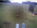 Archiv Foto Webcam am Winkellift Muggenbrunn 10:00