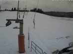 Archiv Foto Webcam Blick auf den Wasenlift bei Muggenbrunn 11:00