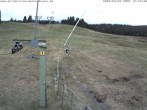 Archiv Foto Webcam Blick auf den Wasenlift bei Muggenbrunn 13:00