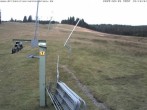 Archiv Foto Webcam Blick auf den Wasenlift bei Muggenbrunn 17:00