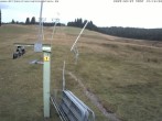 Archiv Foto Webcam Blick auf den Wasenlift bei Muggenbrunn 13:00