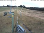 Archiv Foto Webcam Blick auf den Wasenlift bei Muggenbrunn 11:00