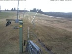 Archiv Foto Webcam Blick auf den Wasenlift bei Muggenbrunn 13:00