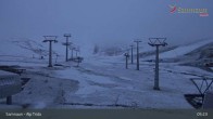 Archived image Webcam Alp Trida, 2.250m 04:00
