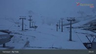 Archived image Webcam Alp Trida, 2.250m 04:00