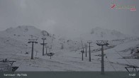 Archived image Webcam Alp Trida, 2.250m 14:00
