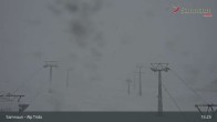 Archived image Webcam Alp Trida, 2.250m 14:00