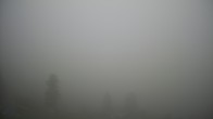 Archiv Foto Webcam Hotel: Titlis-Engelberg 19:00