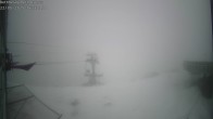 Archived image Webcam Aletsch Arena: Bettmerhorn 05:00