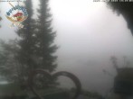 Archiv Foto Webcam Sudelfeld: Speckalm 13:00