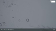 Archived image Webcam Parsenn: Blickrichtung Dorftäli 13:00