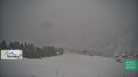 Archiv Foto Webcam Damüls: Blick vom Hertehof 13:00