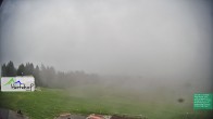 Archiv Foto Webcam Damüls: Blick vom Hertehof 09:00